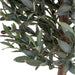 House Nordic - Oliventræ - Flere varianter