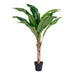 House Nordic - Banan Palme