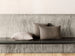 Fritz Hansen - Arne Jacobsen - Pude 50x50 - Vertigo Sand