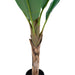 House Nordic - Banan Palme