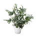 Georg Jensen - BLOOM BOTANICA - Urtepotte - Medium