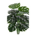 House Nordic - Monstera - Flere varianter