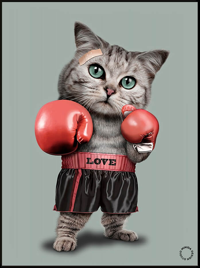 Plakat - Boxing Cat - Minida