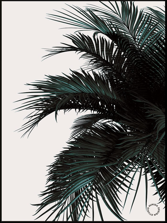 Plakat - Palm II - Minida