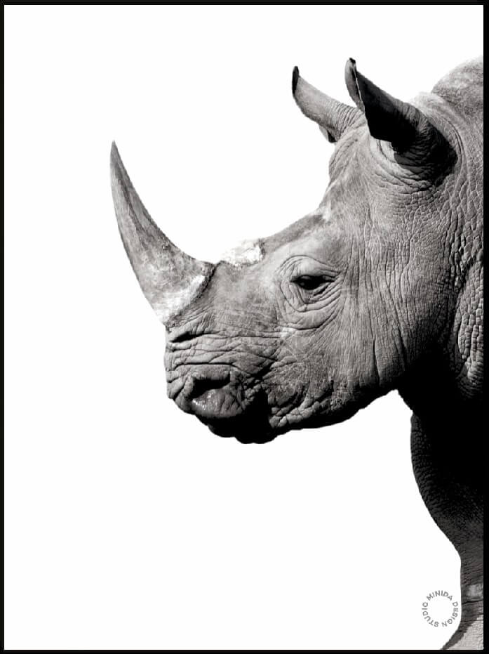 Plakat -Rhino - Minida