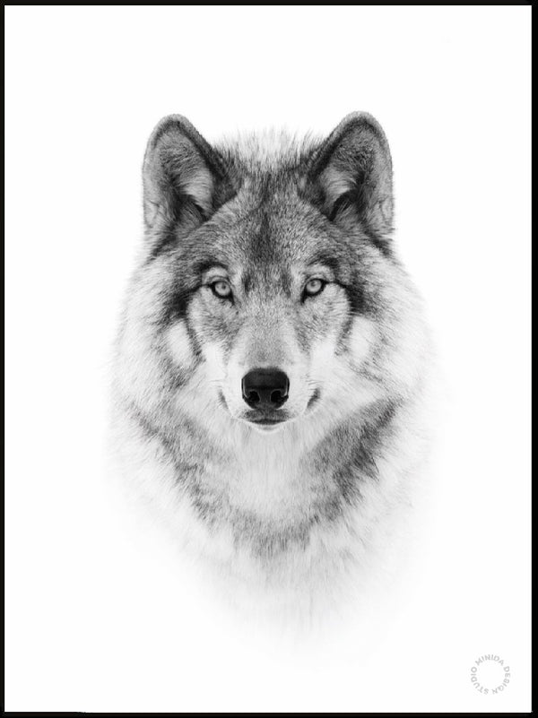 Plakat -The Wolf - Minida
