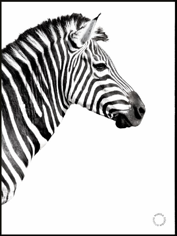 Plakat - White Zebra - Minida