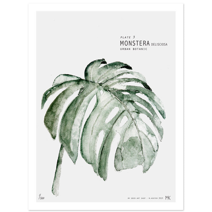 My Deer Artshop - Print - Plate 3 / Monstera