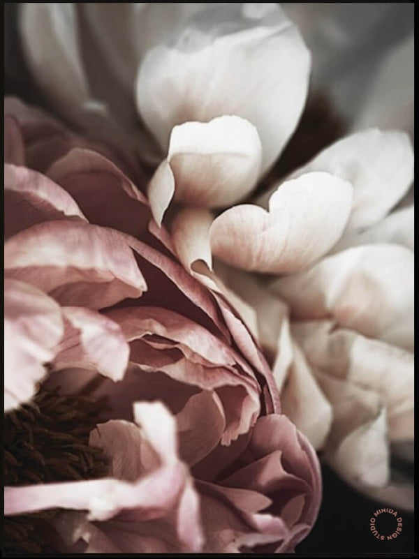 Plakat - Dusty Roses #4 - Minida