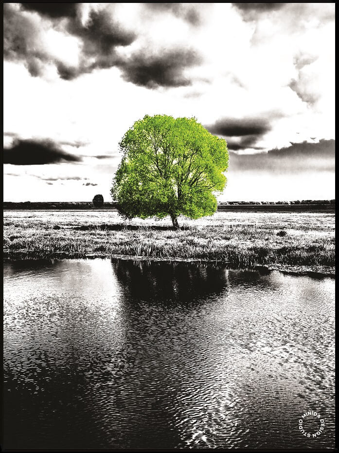 Plakat - Green Tree - Minida