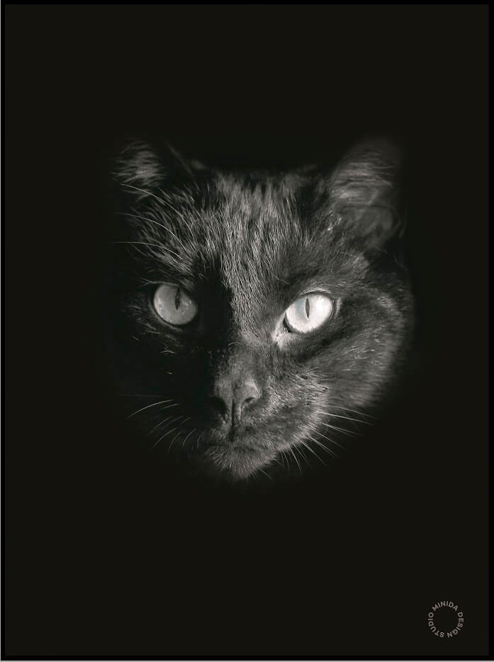 Plakat - Black Cat - Minida