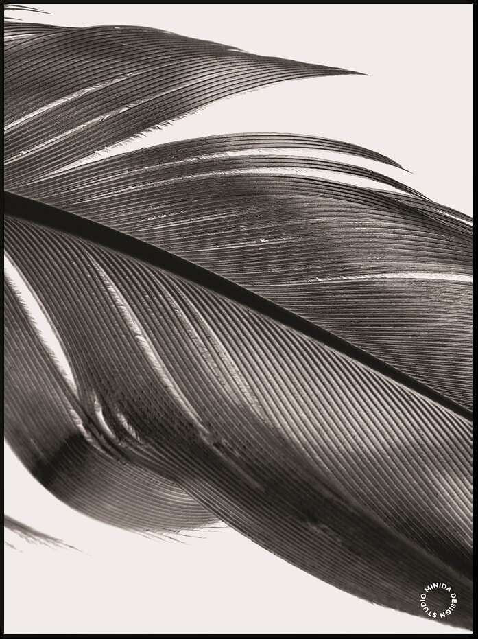 Plakat - Feather II - Minida