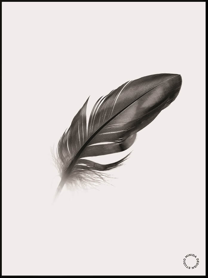 Plakat - Feather - Minida